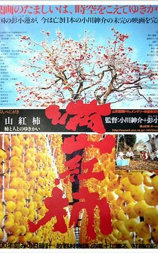 满山红柿