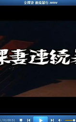 全裸妻連続暴行