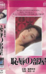 耻辱的房间