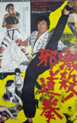 激杀！邪道拳