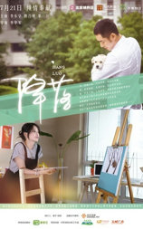 降落
