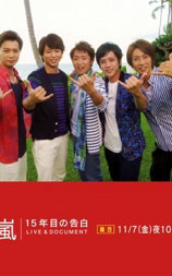 岚：15周年的告白