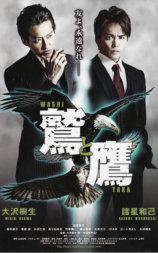 鹰和鹫