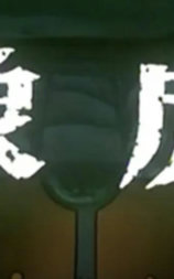 象虎
