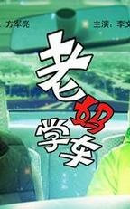 老妈学车