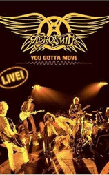 Aerosmith You Gotta Move