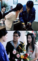 绿色柔情
