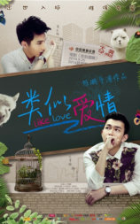 类似爱情