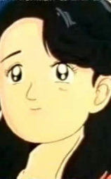 平成のシンデレラ 紀子さま物語