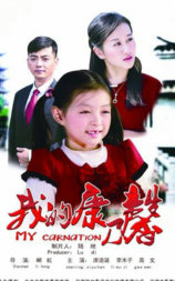 我的康乃馨