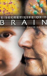 The Secret Life of the Brain