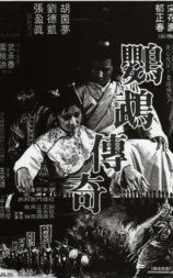 鹦鹉传奇