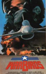 Warbirds