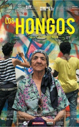 Los hongos