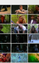 The Walkers