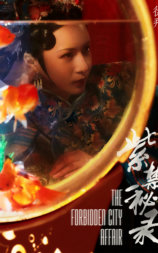 紫禁秘录