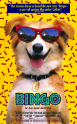 灵犬宾果