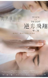 逆光飞翔