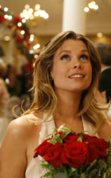 A Very Merry Daughter of the Bride