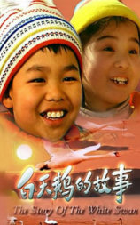 白天鹅的故事