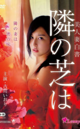 美人妻白书