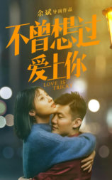 不曾想过爱上你