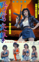 野莺突击