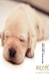 导盲犬小Q