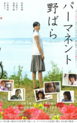 常开野蔷薇