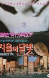 서울의 달빛