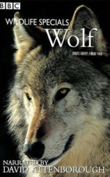 BBC Wildlife Specials—Wolf