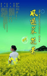 风过菜花黄