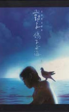 鸽子与海