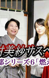 狩矢警部系列6 燃烧的新娘