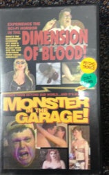 Dimension of Blood