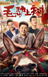毛驴上树