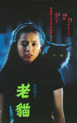 卫斯理之老猫