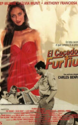 El caçador furtiu