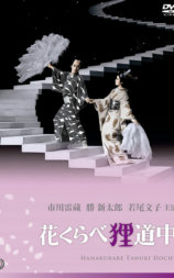 狸猫赛花巡游记
