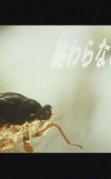 永无止境的做爱