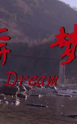 奔梦