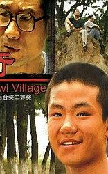 半碗村传奇