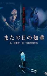 来日知华