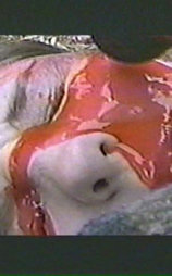 Cannibal Cult