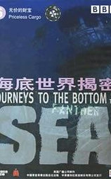 海底世界揭秘：无价的财宝
