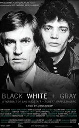 Black White + Gray