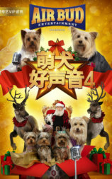 萌犬好声音4