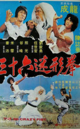 三十六迷形拳