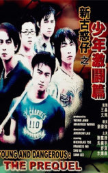 新古惑仔之少年激斗篇