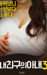 我朋友的老婆 3